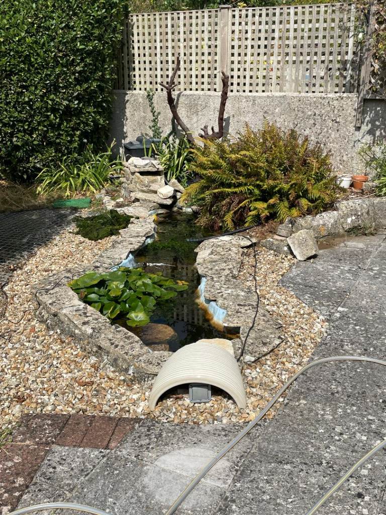 Pond accessories & Golldfish for sale