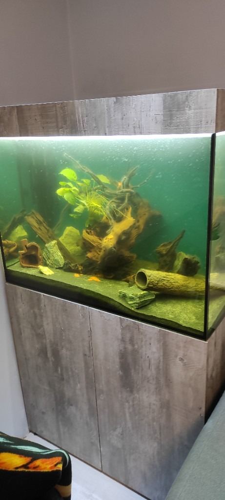 Fish tank