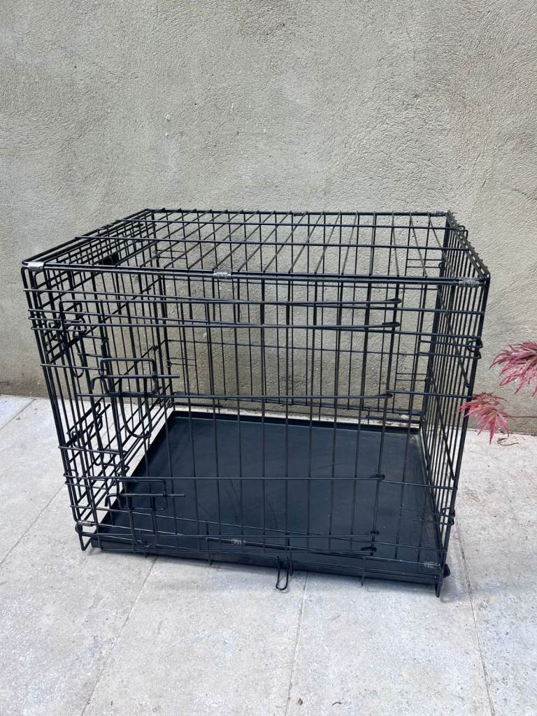 Ellie-Bo Folding 2-Door Dog Crate with Tray