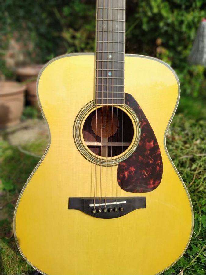 Price Drop On Stunning Yamaha Acoustic Guitar