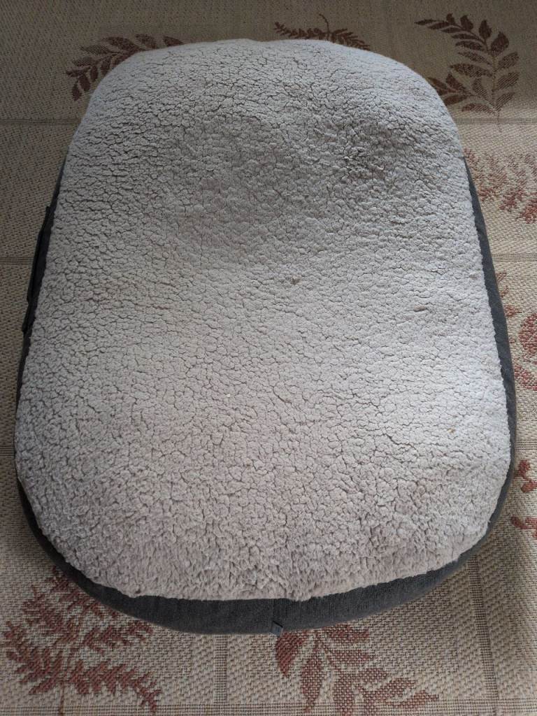 Large dog bed 