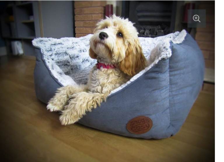 Brand new snug and cosy 36" large pet bed original price is £65 selling for 