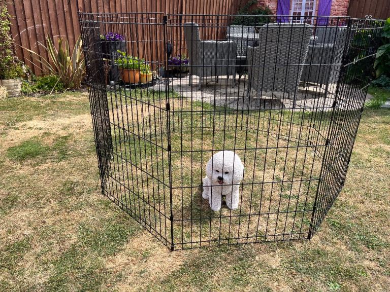 Folding Large metal  dog puppy playpen from pets at home 