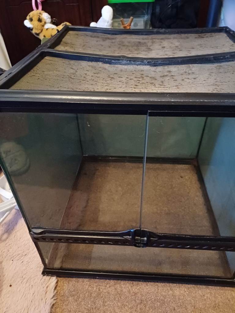 Reptiles viv