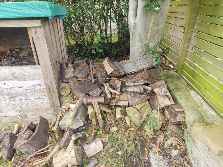 Free Firewood 