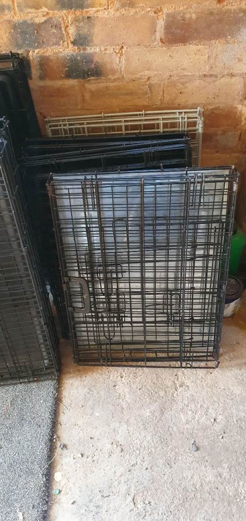 Dog cages 