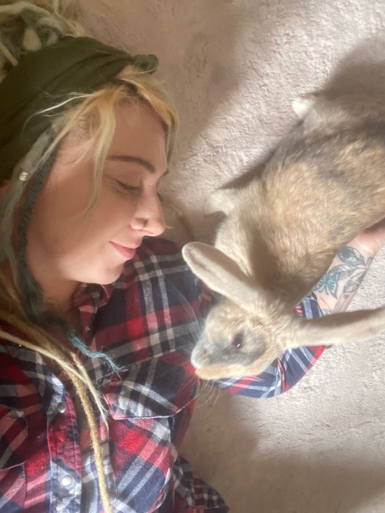 House Bunny Rabbit