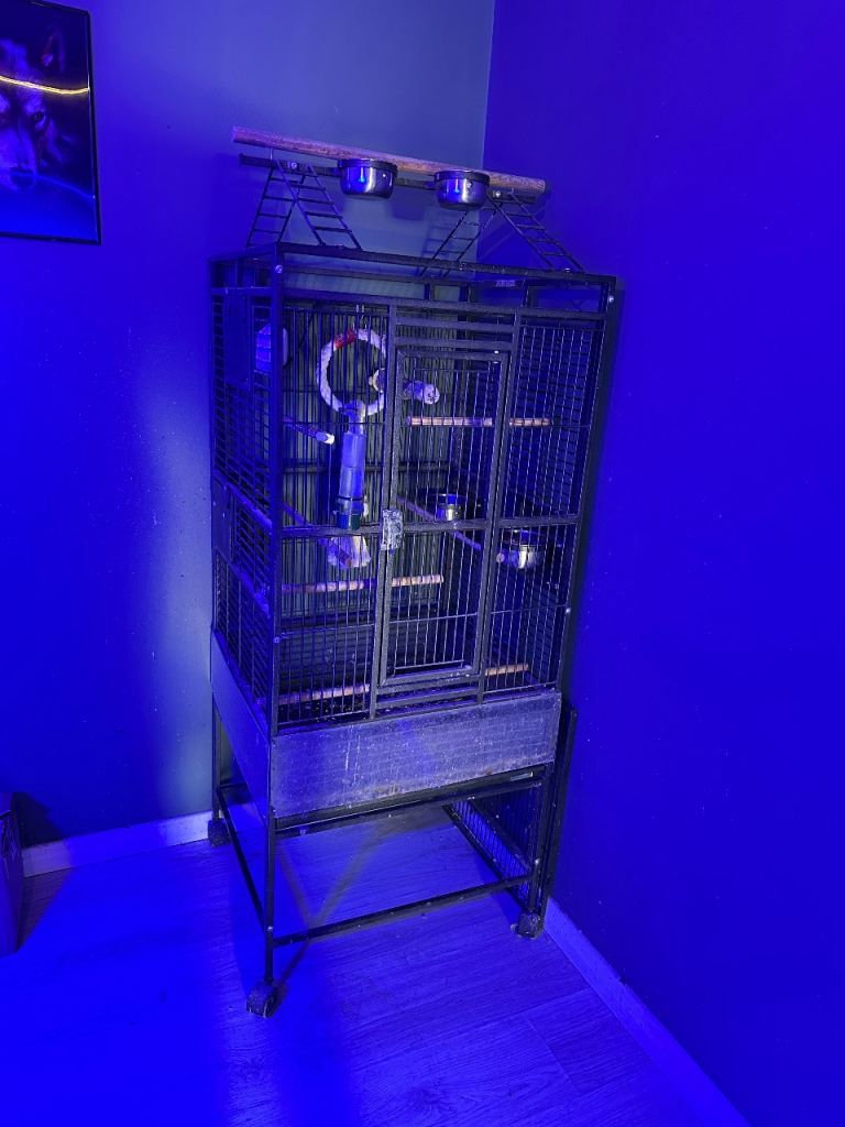 Large Parrot Cage