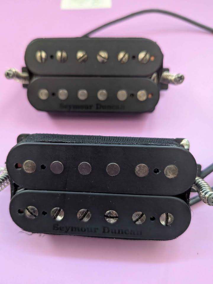 Seymour Duncan Pegasus/Sentient Set