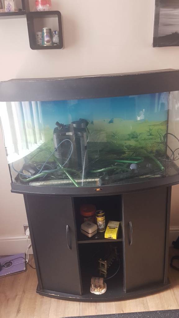 Fish tank for sale