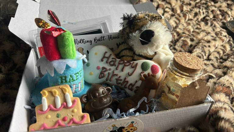 Dog birthday box 