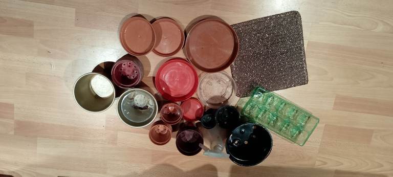 FREE: selection of plant pots and trays. 