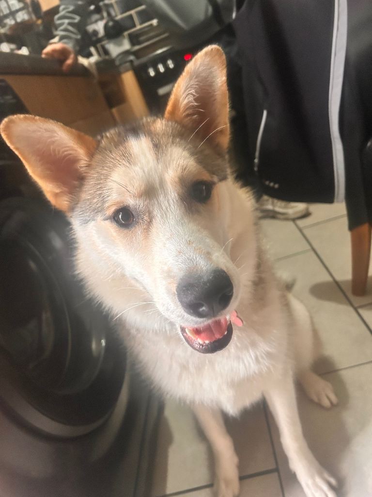 NALA female 