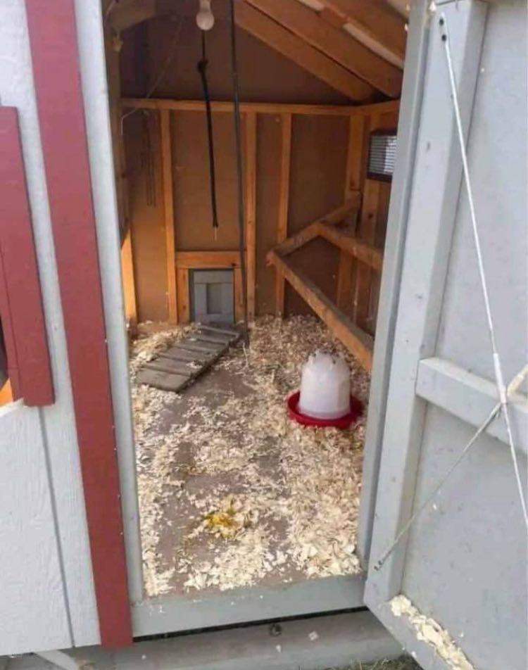 Chicken Coop / Hen House – Good Condition