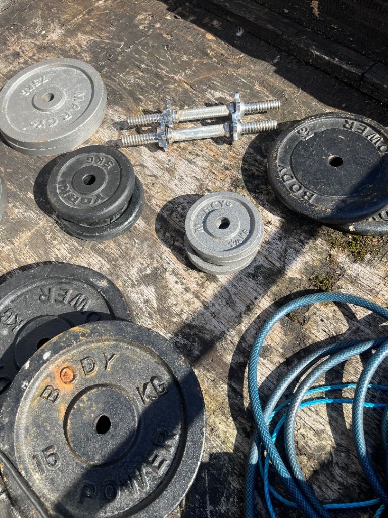 Gym weights 