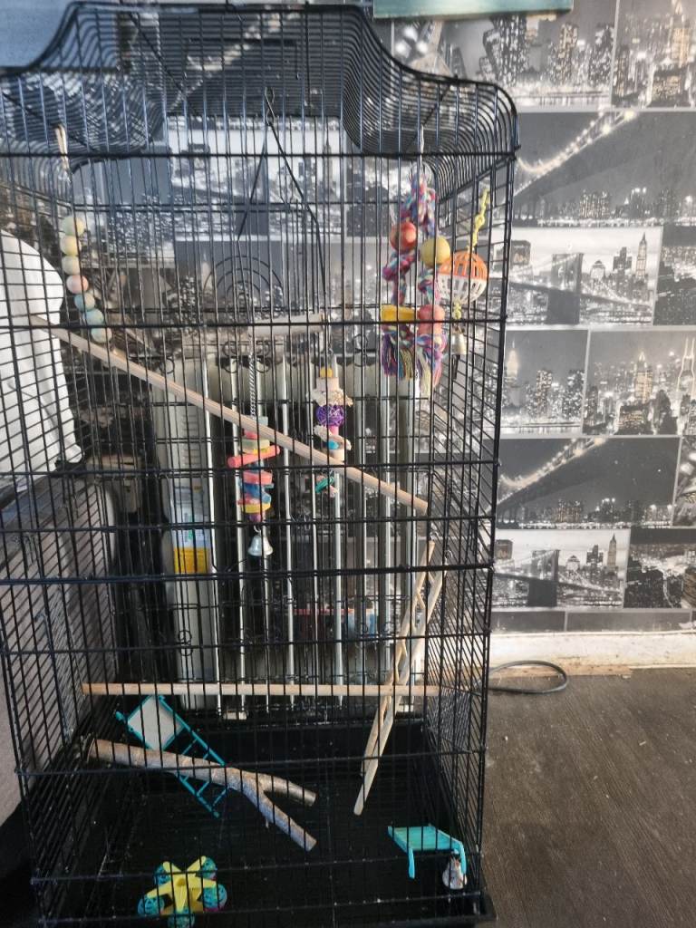 Bird cage