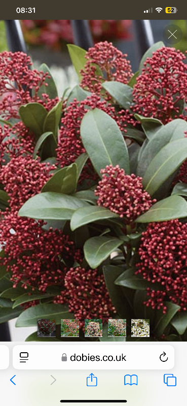 Up and over garage door 