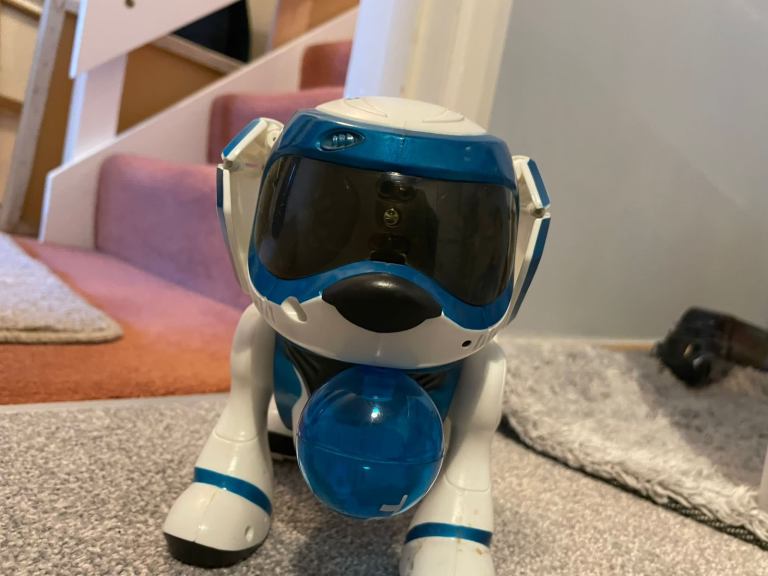 Tekna robot dog
