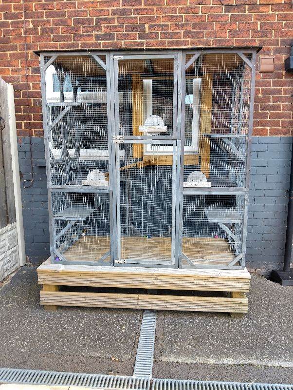 Outdoor cat house 