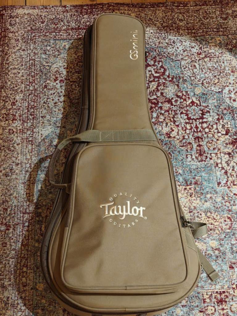 Taylor GS Mini Mahogany 2021 (ES Go Pickup Installed
