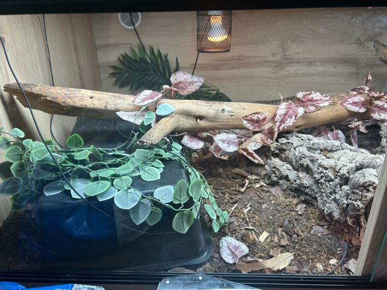 10x3x2ft Vivarium