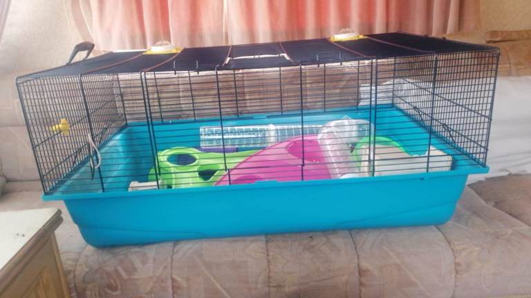 2 hamster cages