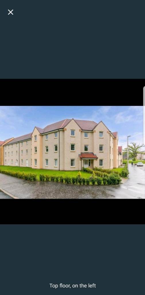 Large spare room to rent