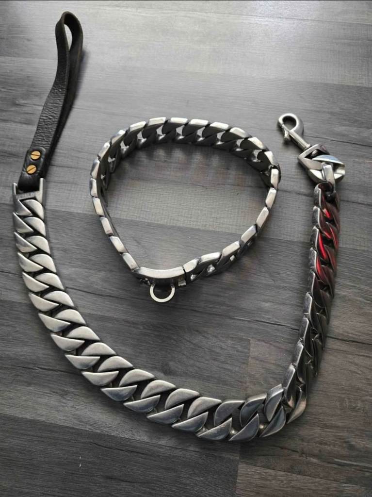 Regal dog lead & collar