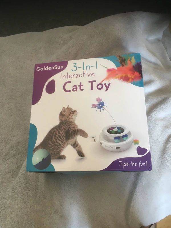 Interactive cat toy