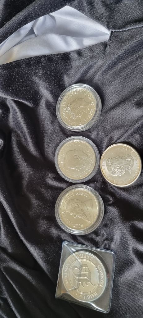 5 1oz silver coins 