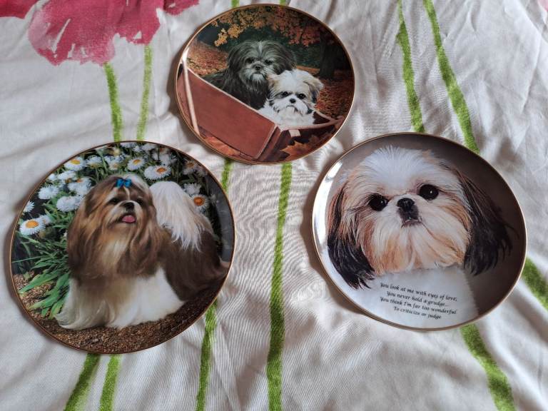 Decorative plates. £10 EACH 