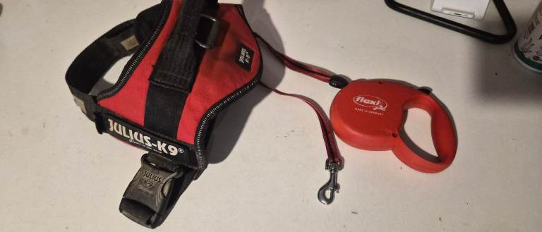 *free for collection* Julius-K9 Dog Harness and Flexi Retractable Lead Set