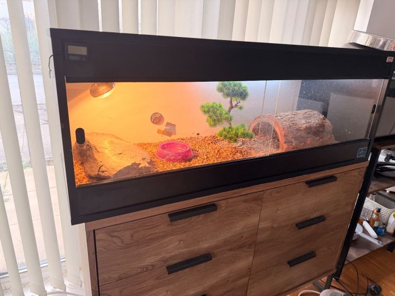 Reptile tank 