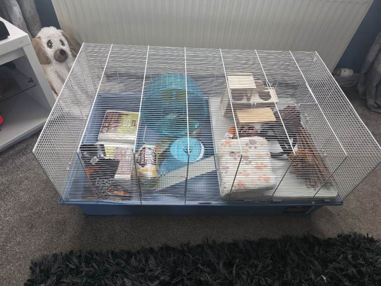 Hamster cage (large habitat 3)
