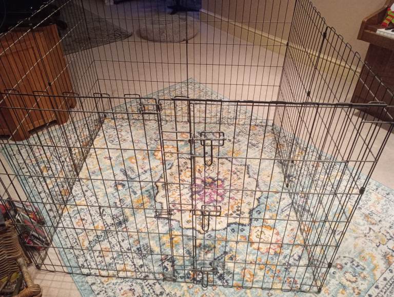 Metal dog cage 