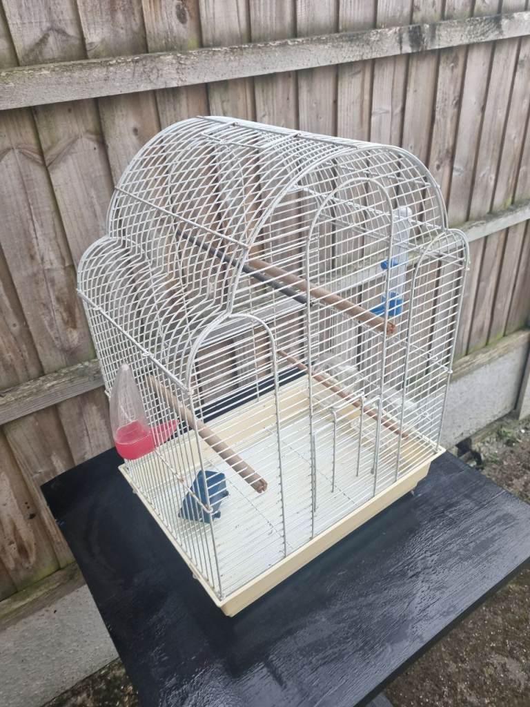 Bird cage 