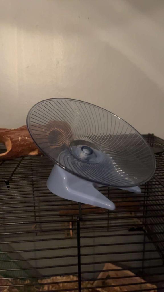 Gerbils and full set up