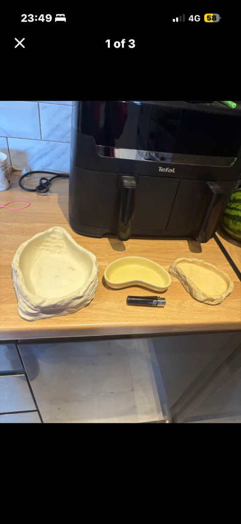 Reptile bearded dragon snake vivarium feeding water dishes 