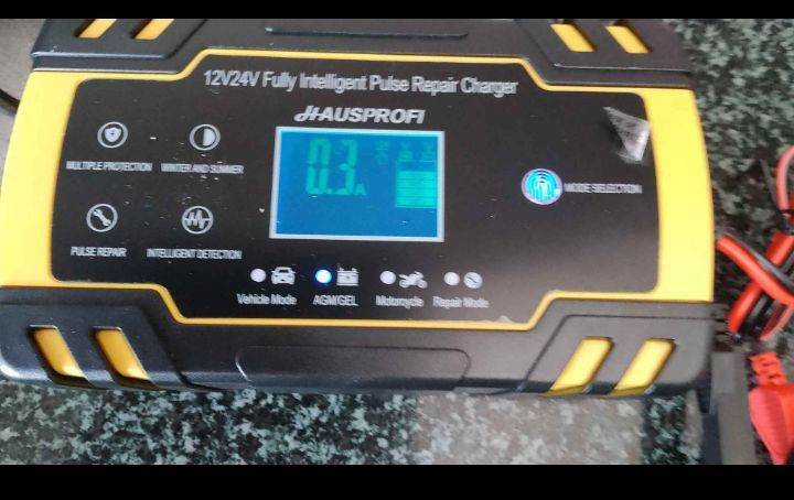 Battery charger 12V/24V