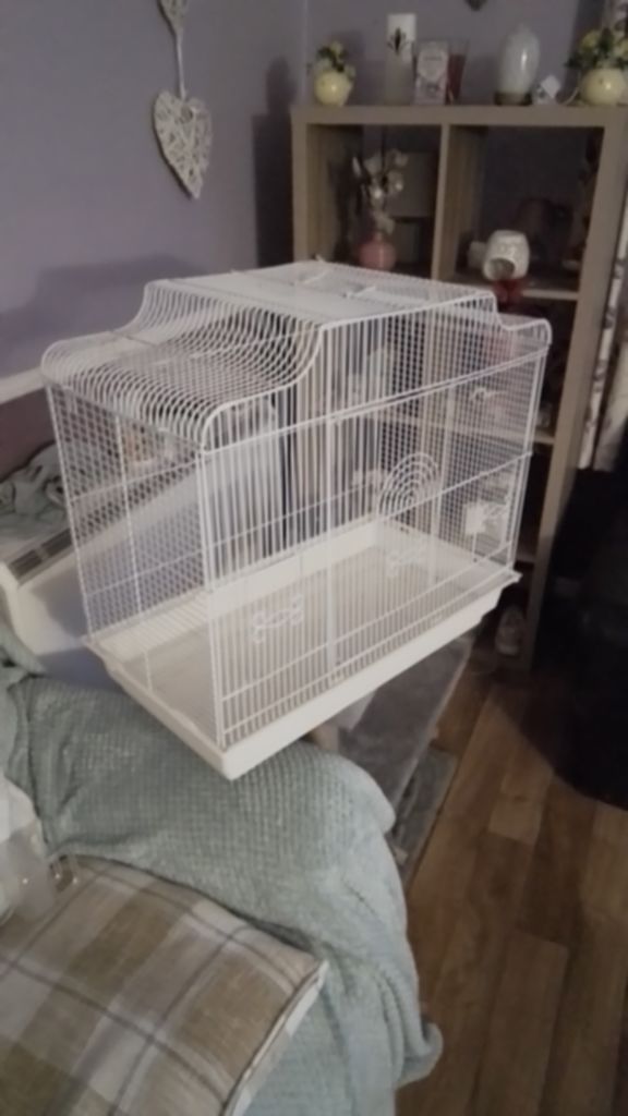 Large bird cage 