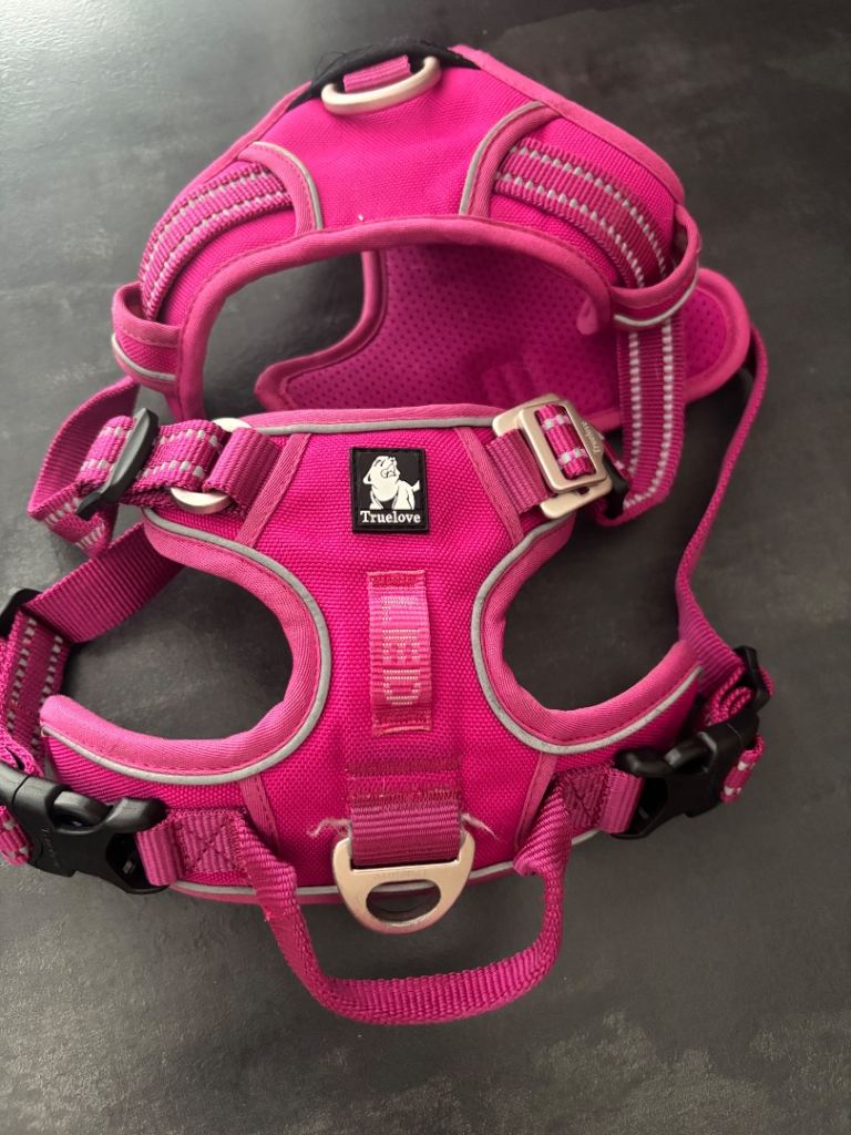 True love dog harness