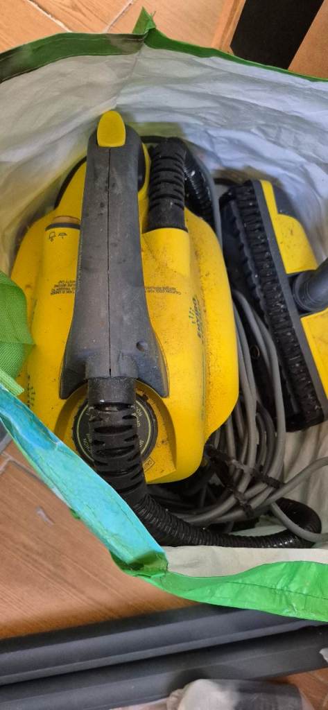 Electrolux steam cleaner 