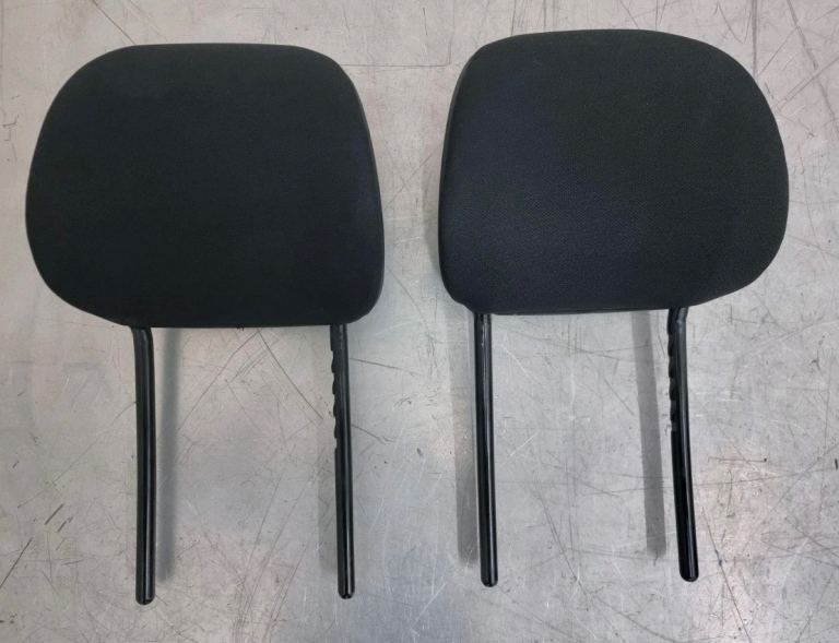 Citreon Cactus Headrest 