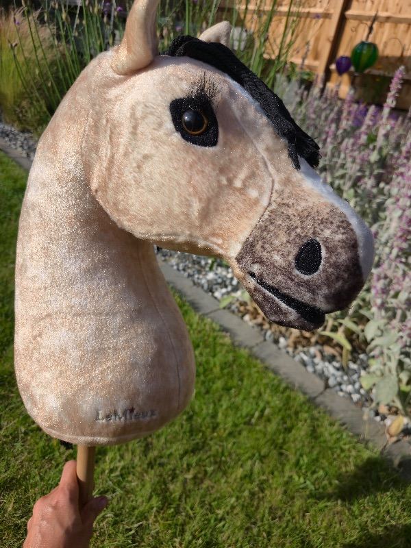Le Mieux Hobby Horse Dream