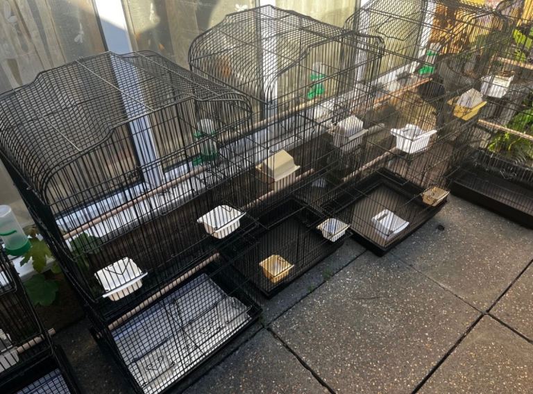 Large Decorative Black Bird Cage