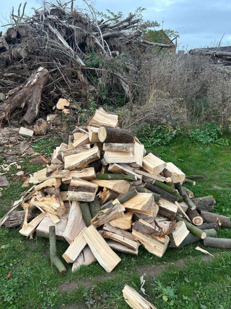 Seasoned Softwood Logs - ready to burn