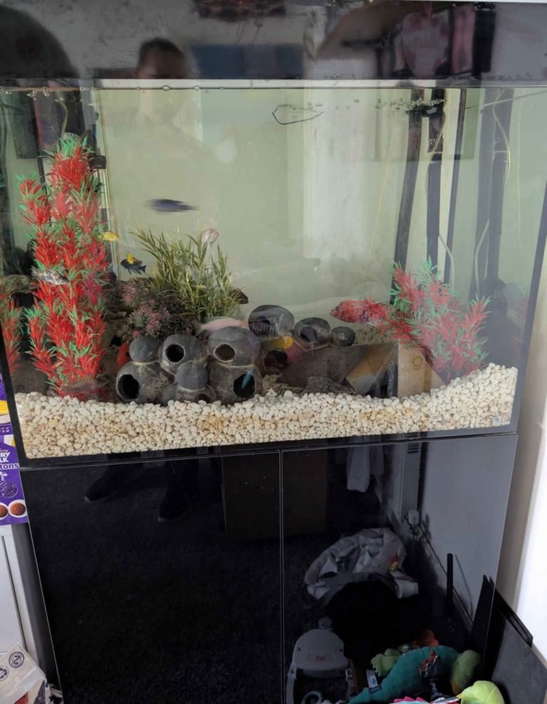 300 L fish tank and stand 