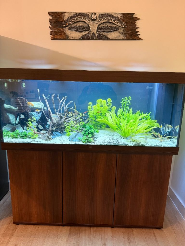 Juwell 450l 