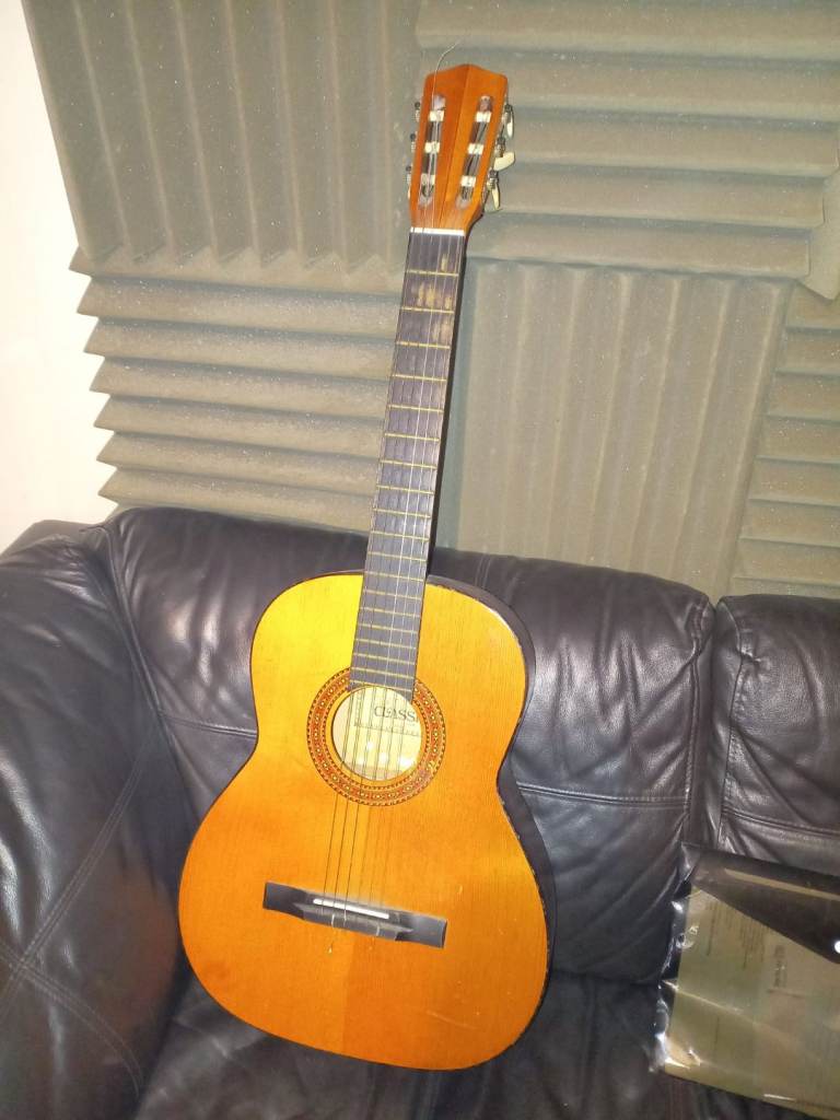 Acoustic guitar