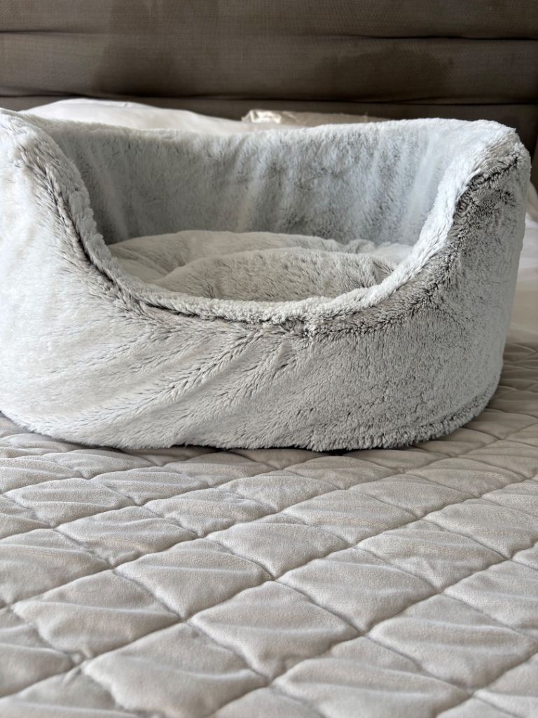 Dogs Bed